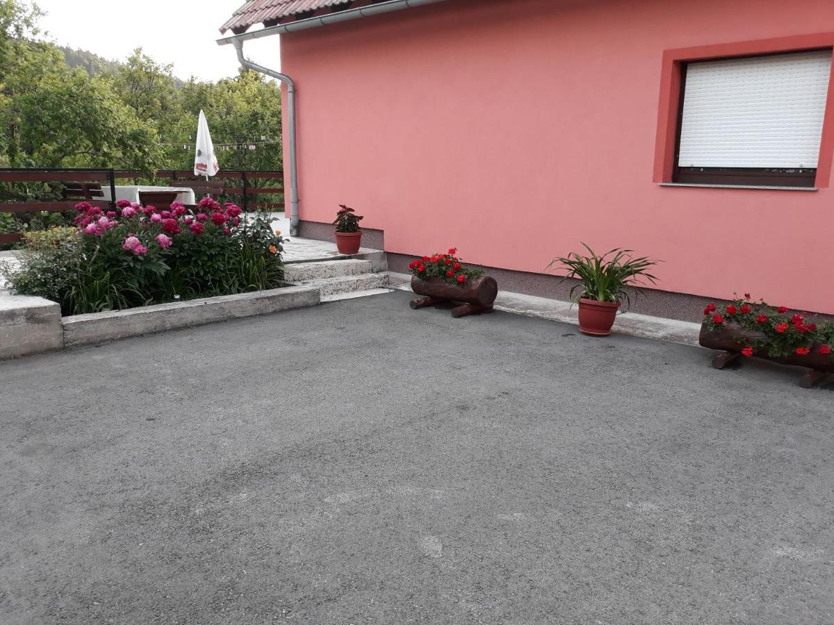 Biljevina Apartment Saborsko Exterior photo